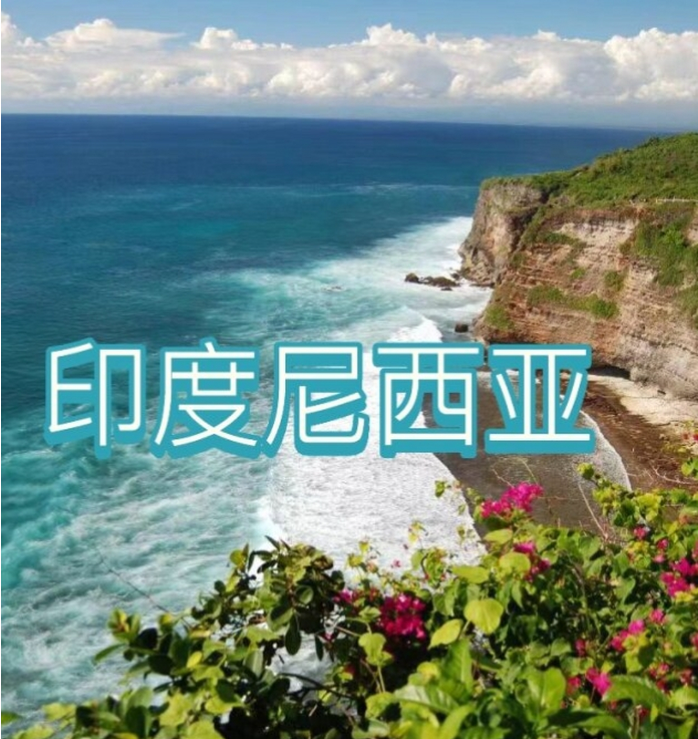 际电商(印尼)产业博览会AG真人2025